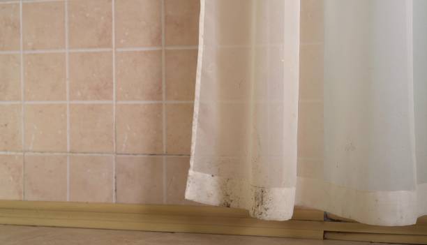 Best Forensic Mold Investigation  in Toona, AL