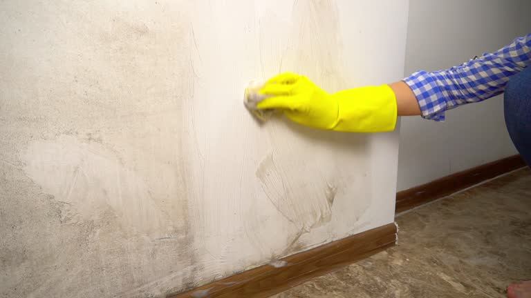 Best Industrial Mold Remediation  in Toona, AL
